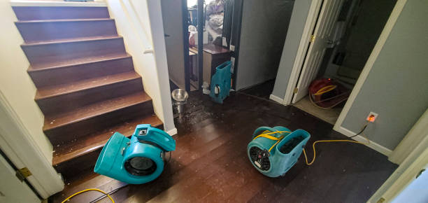 Best Commercial water damage restoration  in Valle Vista, AZ
