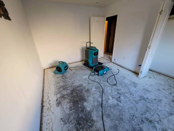 Water damage restoration experts in Valle Vista, AZ