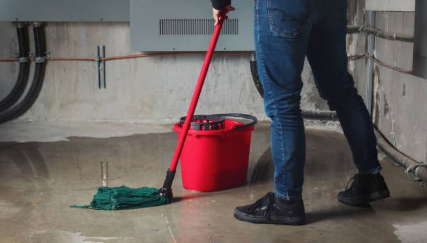 Best Local water damage restoration  in Valle Vista, AZ