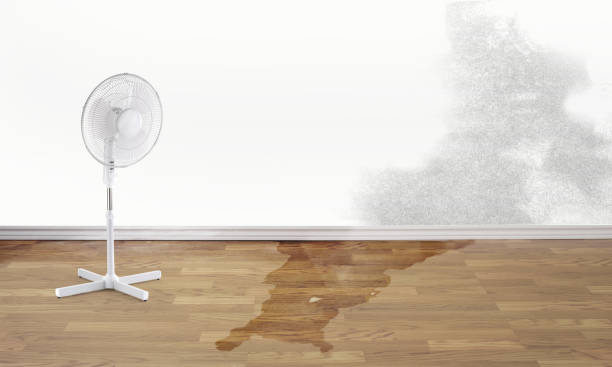 Best Carpet water damage restoration  in Valle Vista, AZ