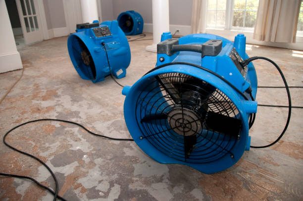 Best Fire Damage Restoration  in Valle Vista, AZ