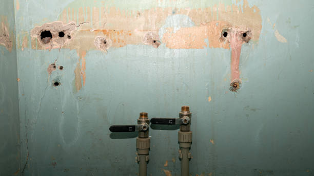 Best Carpet water damage restoration  in Valle Vista, AZ