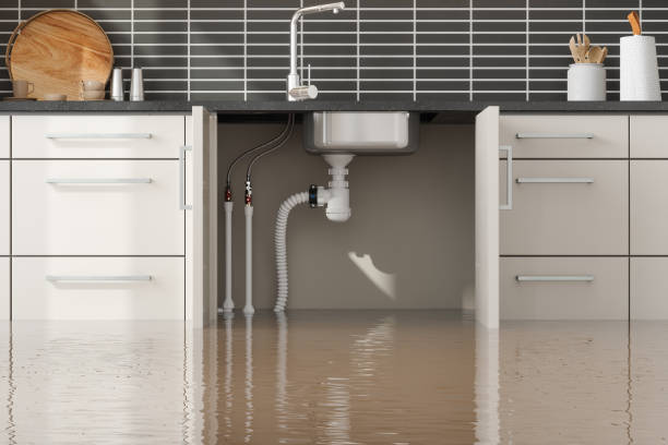 Best Basement water damage restoration  in Valle Vista, AZ