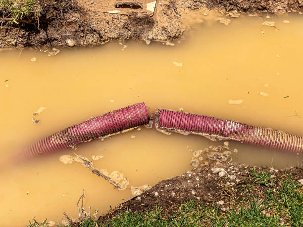 Professional Water damage restoration in Valle Vista, AZ